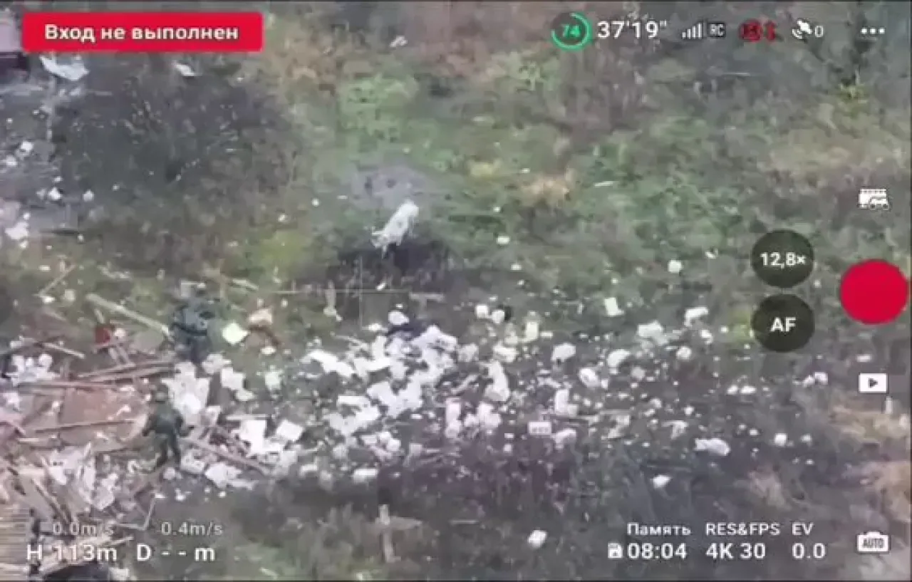 Rus Askerleri Önünde Yürüyen Domuz Mayına Basarak Havaya Uçtu Rus Askerleri Önünde Yürüyen Domuz Mayına Basarak Havaya Uçtu