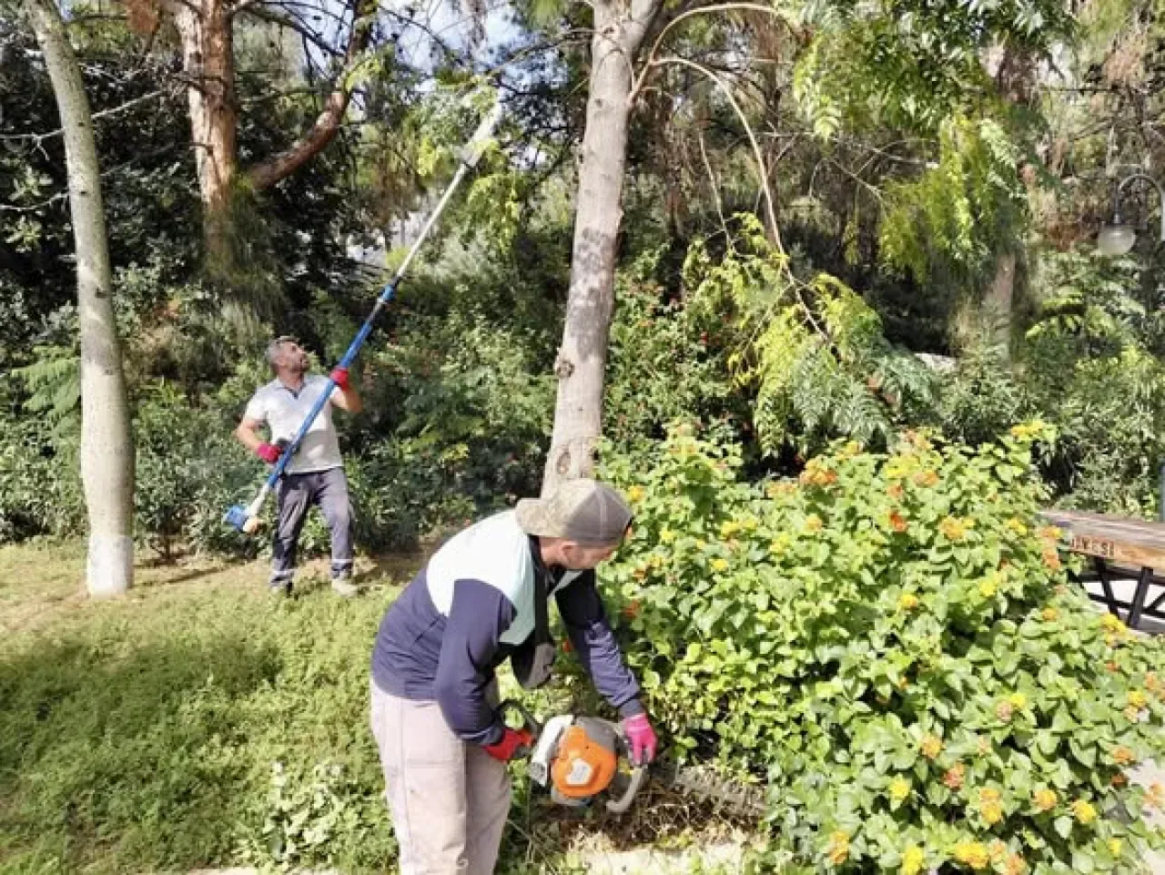 Kaş Belediyesi, İlçeyi Yeşillendirme Çalışmalarına Hız Kesmeden Devam Ediyor Kaş Belediyesi, İlçeyi Yeşillendirme Çalışmalarına Hız Kesmeden Devam Ediyor