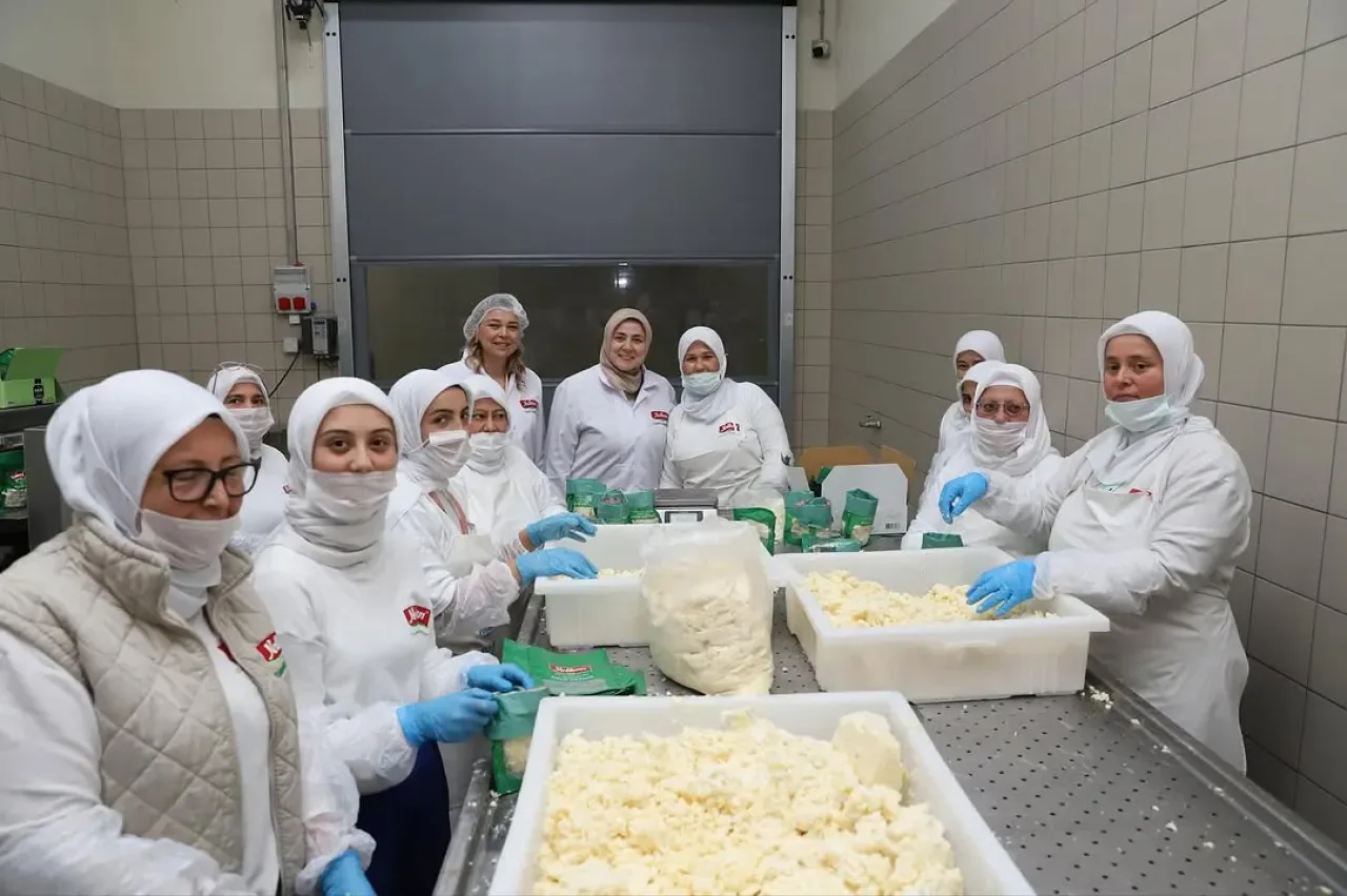 Ezine Peynirinin Lezzet Yolculuğu: Yelken Süt ve Süt Ürünleri Fabrikası Ezine Peynirinin Lezzet Yolculuğu: Yelken Süt ve Süt Ürünleri Fabrikası