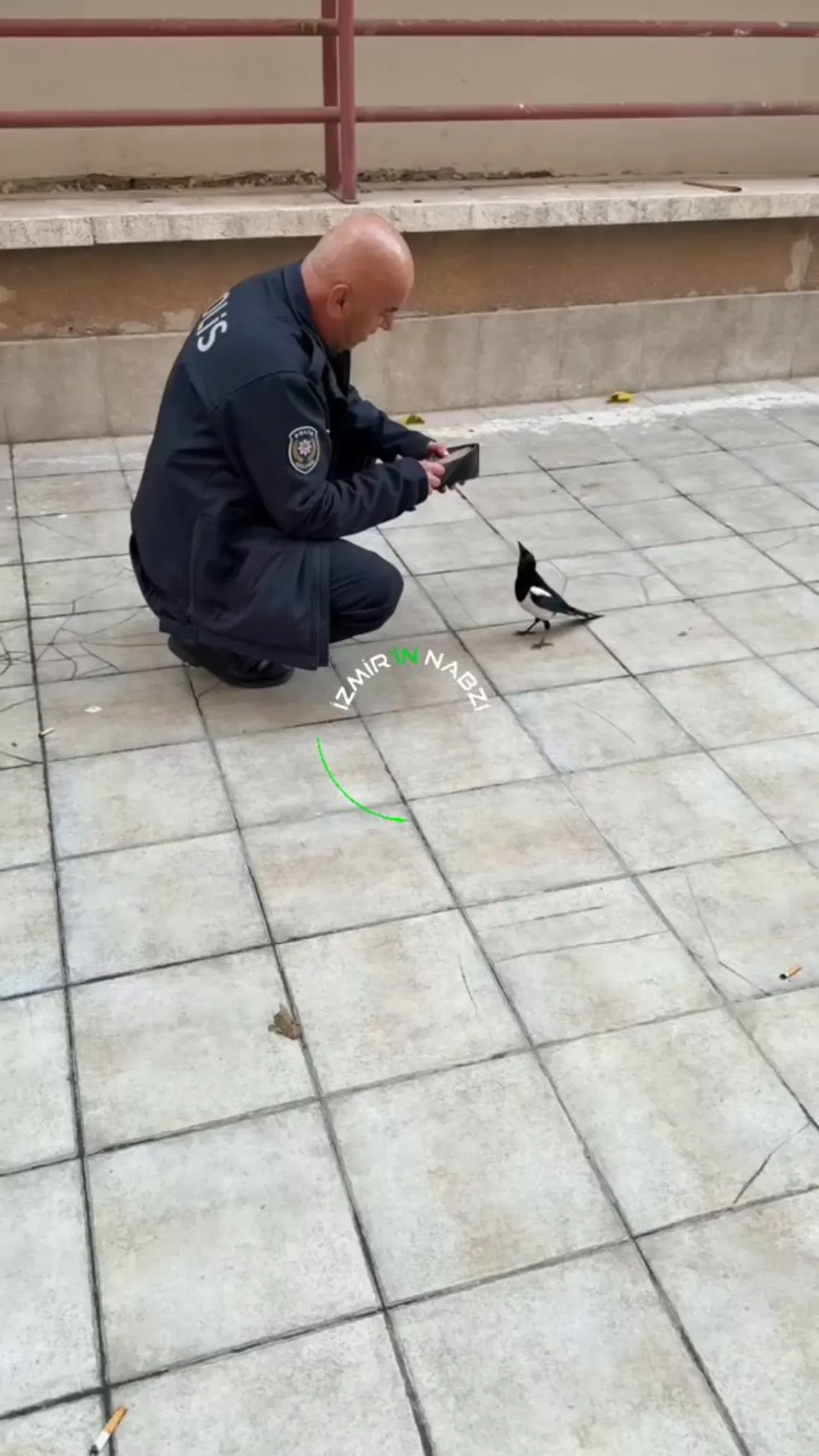 Polis Memurunun Cüzdanından 200 TL Çalan Kuş, Görenleri Şaşkına Çevirdi Polis Memurunun Cüzdanından 200 TL Çalan Kuş, Görenleri Şaşkına Çevirdi