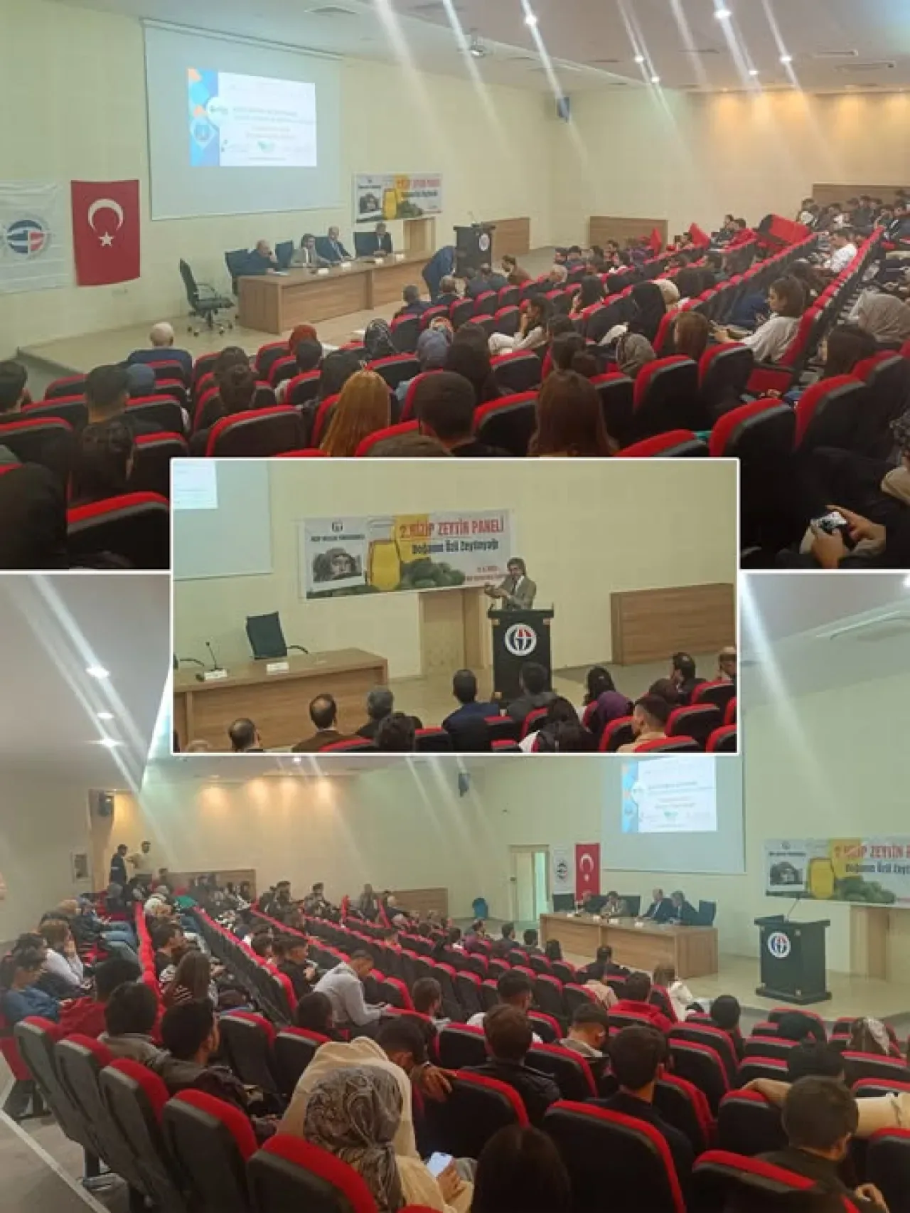 Nizip'te Zeytin Paneli: Üretimden Pazarlamaya Yeni Stratejiler Masaya Yatırıldı Nizip'te Zeytin Paneli: Üretimden Pazarlamaya Yeni Stratejiler Masaya Yatırıldı