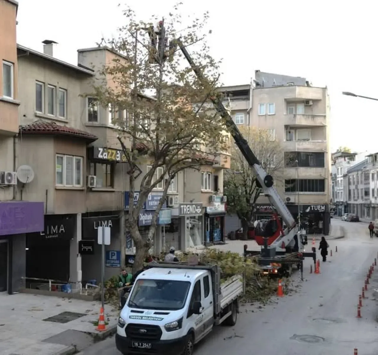 İnegöl'de Kontrollü Budama ile Daha Sağlıklı ve Güvenli Yeşil Alanlar İnegöl'de Kontrollü Budama ile Daha Sağlıklı ve Güvenli Yeşil Alanlar