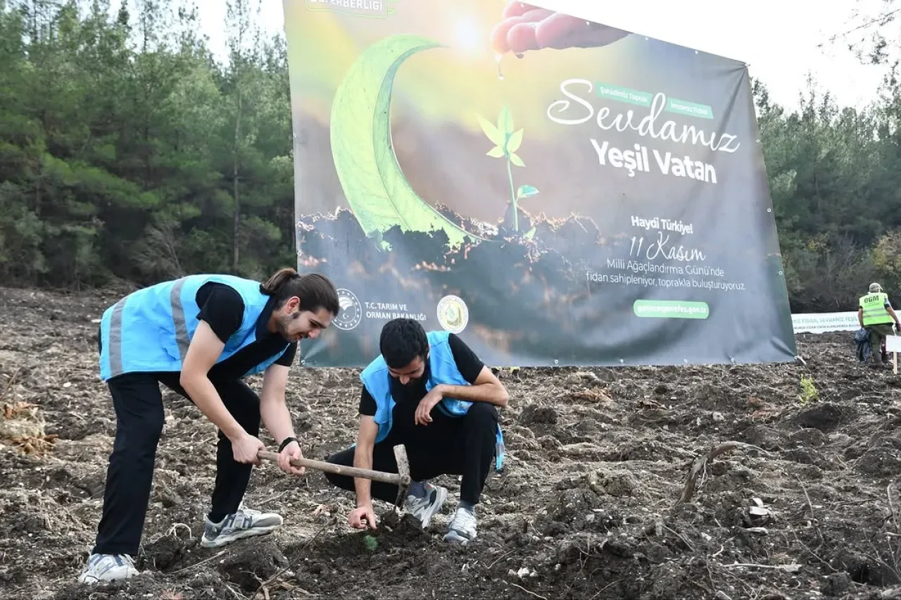 Gençlik ve Spor İl Müdürlüğü'nden 11 Kasım'da Anlamlı Fidan Dikimi Gençlik ve Spor İl Müdürlüğü'nden 11 Kasım'da Anlamlı Fidan Dikimi