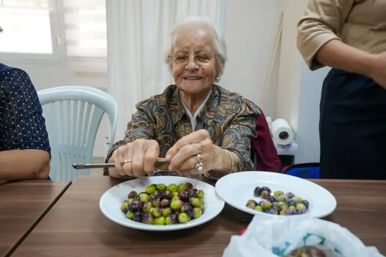 Gaziemir'de Yaşlıların Zeytin Dayanışması Sosyal Market'e Umut Oluyor Gaziemir'de Yaşlıların Zeytin Dayanışması Sosyal Market'e Umut Oluyor