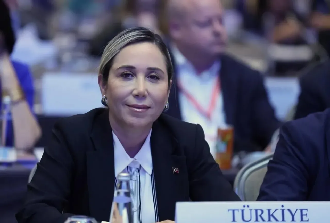 AGİT PA Sonbahar Toplantısı'nda Küresel Ticaret ve İnsan Onuru Konuşuldu AGİT PA Sonbahar Toplantısı'nda Küresel Ticaret ve İnsan Onuru Konuşuldu