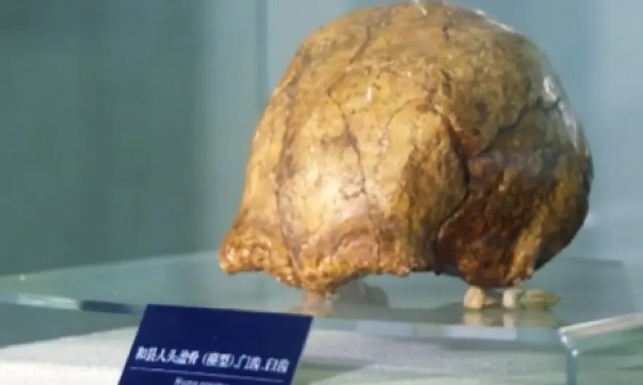 Çin'deki Tarih Öncesi Kazı Alanında Homo Erectus'a Ait 2 Diş ve Taş Aletler Bulundu Çin'deki Tarih Öncesi Kazı Alanında Homo Erectus'a Ait 2 Diş ve Taş Aletler Bulundu