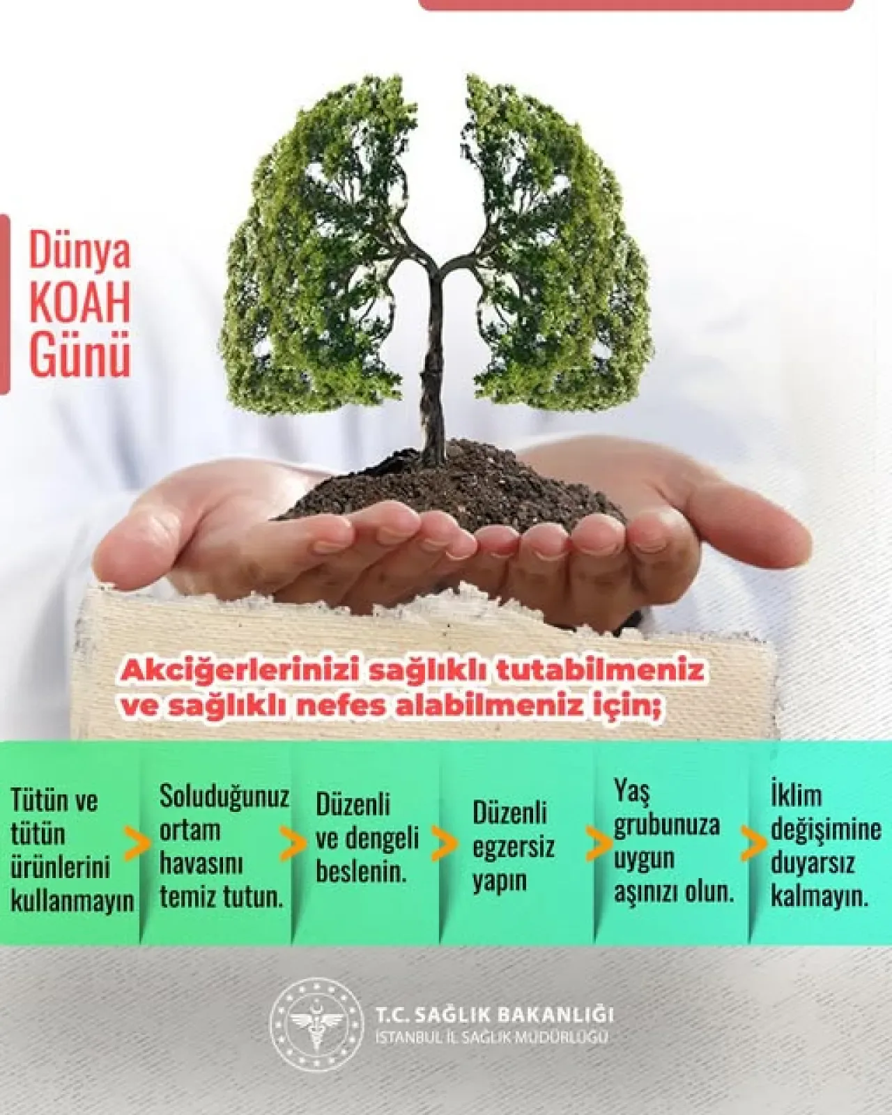 İstanbul İl Sağlık Müdürlüğü'nden KOAH Uyarısı: Sağlıklı Nefesin 7 Kuralı İstanbul İl Sağlık Müdürlüğü'nden KOAH Uyarısı: Sağlıklı Nefesin 7 Kuralı