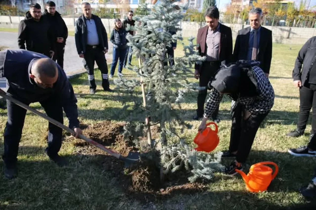 Abdullah Gül Üniversitesi'nde Trafik Kazasında Hayatını Kaybeden Öğrenci Arda Ökçe İçin Anma Töreni Düzenlendi Abdullah Gül Üniversitesi'nde Trafik Kazasında Hayatını Kaybeden Öğrenci Arda Ökçe İçin Anma Töreni Düzenlendi