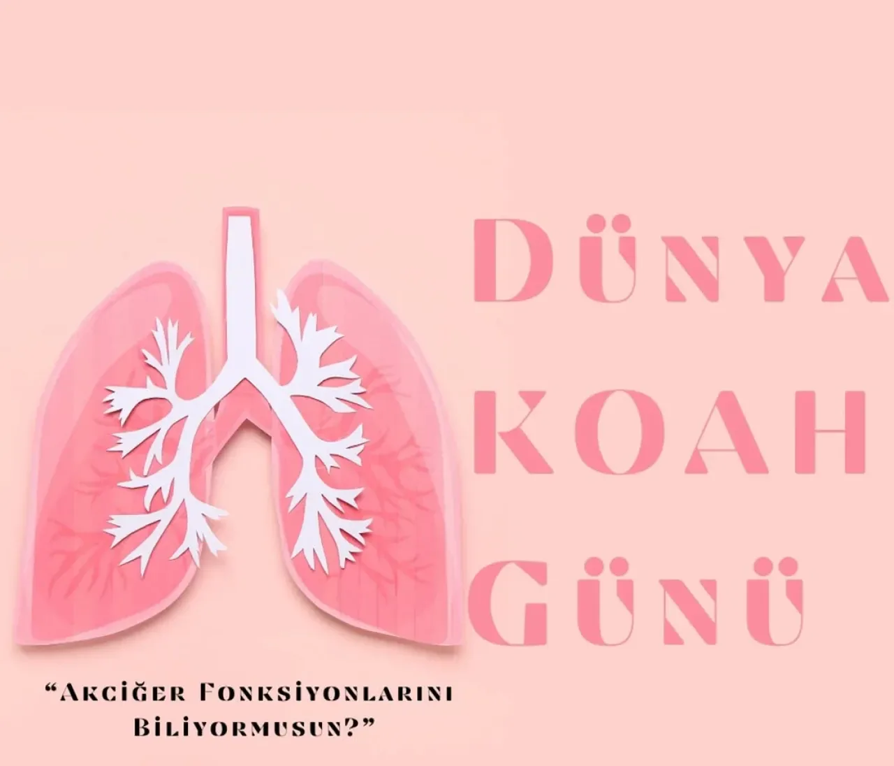 Gemlik'te Dünya KOAH Günü'nde Akciğer Sağlığına Dikkat Çekildi Gemlik'te Dünya KOAH Günü'nde Akciğer Sağlığına Dikkat Çekildi