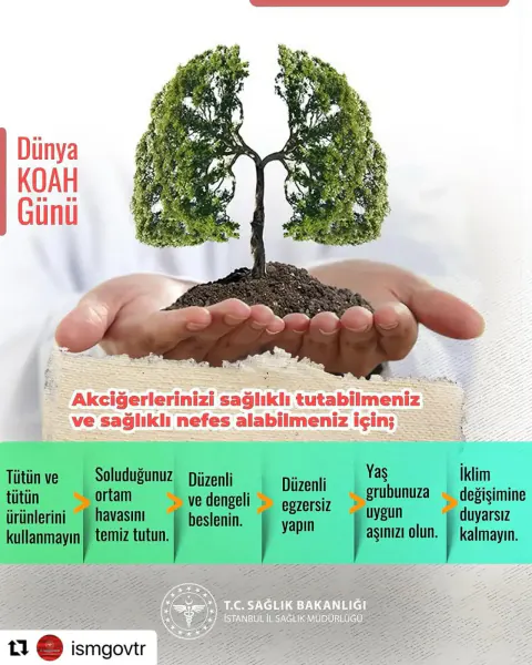 KOAH Farkındalığı İçin Yürüyüş Etkinliği Düzenlendi