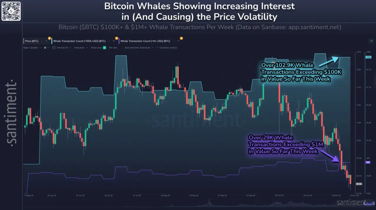 Bitcoin Büyük Yatırımcıları Piyasa Düşüşü Sonrası Harekete Geçti Bitcoin Büyük Yatırımcıları Piyasa Düşüşü Sonrası Harekete Geçti