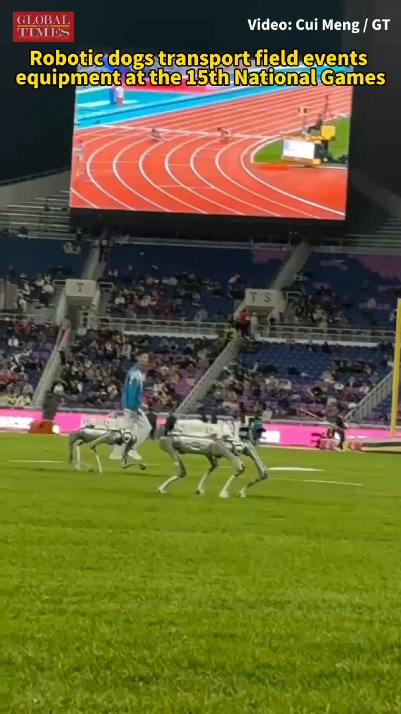 15. Ulusal Oyunlar'da Atletizm Sahasının Yeni Yardımcıları: Robot Köpekler 15. Ulusal Oyunlar'da Atletizm Sahasının Yeni Yardımcıları: Robot Köpekler