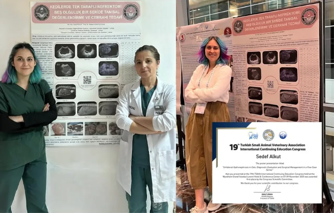 Balıkesir Üniversitesi Uluslararası Kongrede Birincilik Ödülü Kazandı Balıkesir Üniversitesi Uluslararası Kongrede Birincilik Ödülü Kazandı
