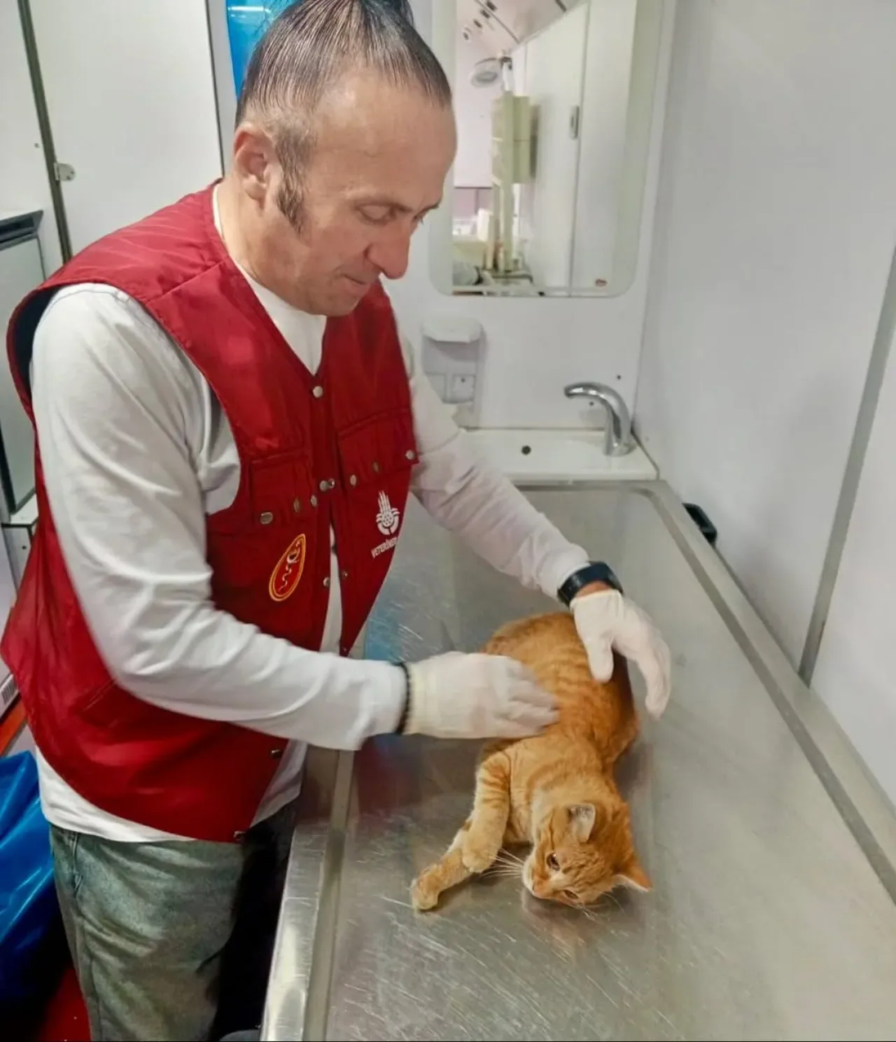 İBB'nin Veteriner Hizmet Aracı Vetbüs, Güngören'de Sokak Hayvanlarına Ücretsiz Bakım Sağladı İBB'nin Veteriner Hizmet Aracı Vetbüs, Güngören'de Sokak Hayvanlarına Ücretsiz Bakım Sağladı