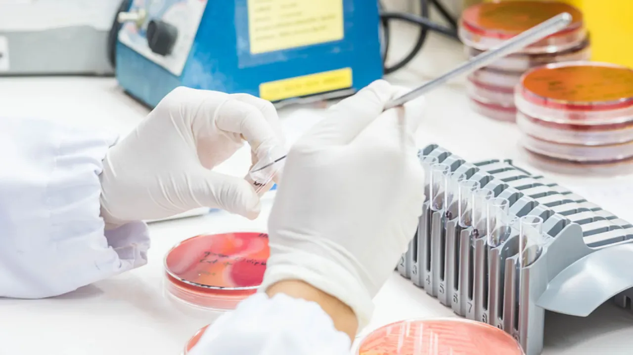 İrlanda, AB Antibiyotik Direnci Artarken Yeni AMR Stratejisini Açıkladı İrlanda, AB Antibiyotik Direnci Artarken Yeni AMR Stratejisini Açıkladı