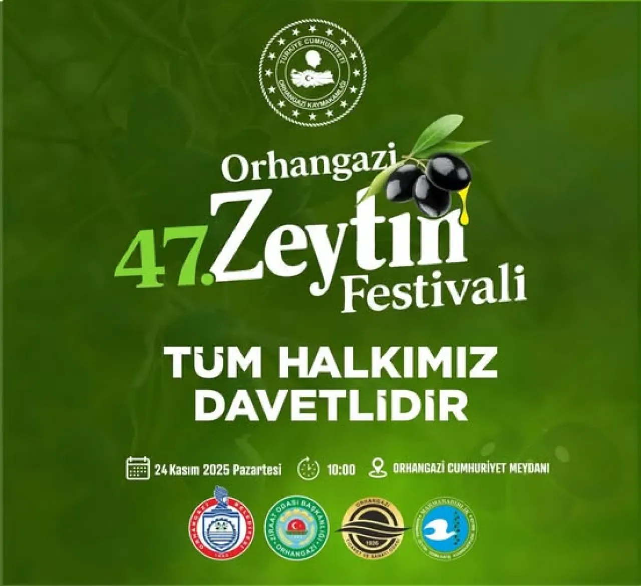 Orhangazi'de 47. Zeytin Festivali Coşkusu Başlıyor Orhangazi'de 47. Zeytin Festivali Coşkusu Başlıyor