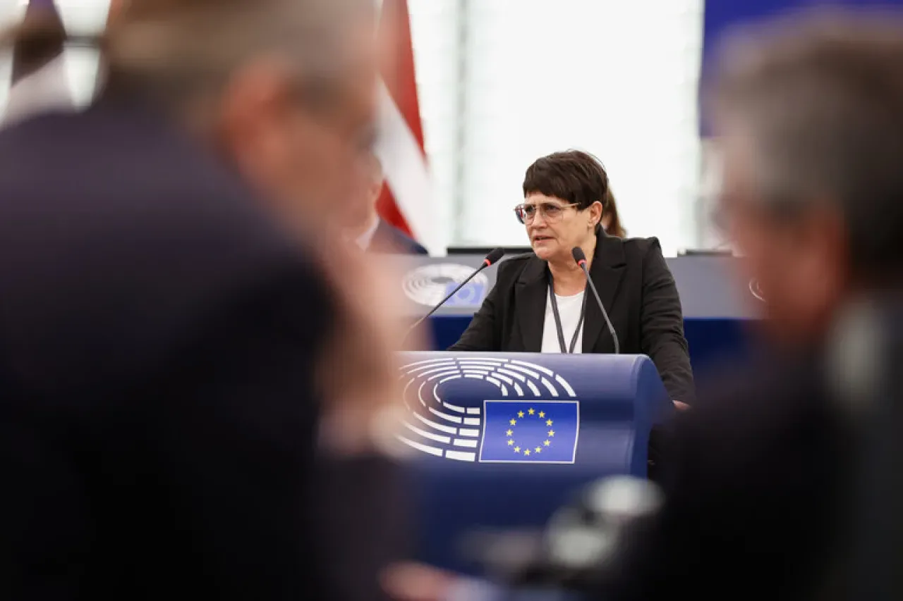 Avrupa Parlamentosu, Ormansızlaşma Yönetmeliğini Askıya Alma Kararı Aldı Avrupa Parlamentosu, Ormansızlaşma Yönetmeliğini Askıya Alma Kararı Aldı