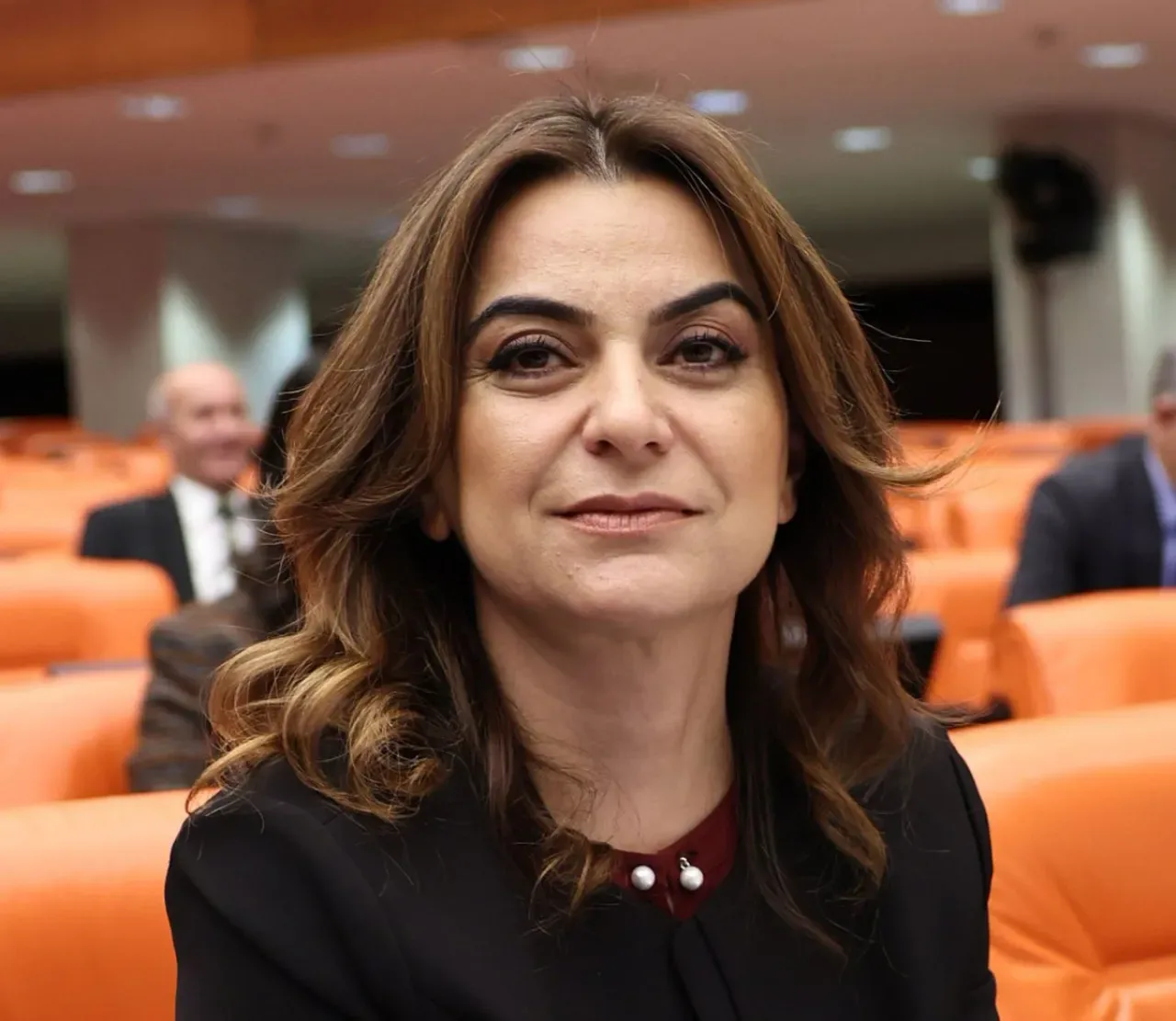 CHP'nin İmralı Kararı ve Tarihi Sorumluluk CHP'nin İmralı Kararı ve Tarihi Sorumluluk