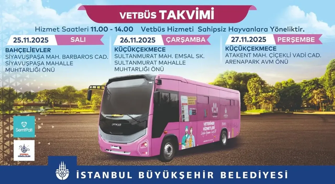 İBB Veteriner Hizmetleri, Sahipsiz Hayvanlar İçin İlçe İlçe Sağlık Taraması Yapacak İBB Veteriner Hizmetleri, Sahipsiz Hayvanlar İçin İlçe İlçe Sağlık Taraması Yapacak