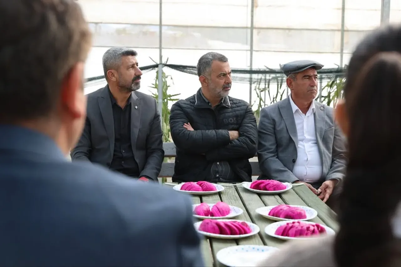 Batı Antalya'da Kahve Yetiştirilmeye Başlandı: İlk Fidanlar Toprakla Buluştu Batı Antalya'da Kahve Yetiştirilmeye Başlandı: İlk Fidanlar Toprakla Buluştu