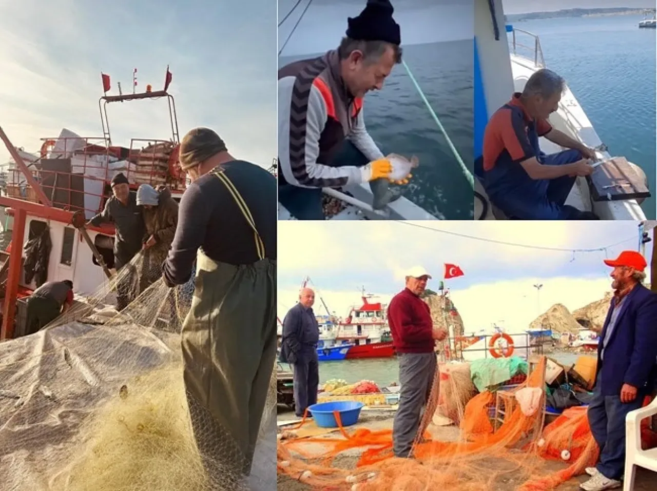 Şile'de Dünya Balıkçılık Günü Kutlandı: Balıkçıların Önemi Vurgulandı Şile'de Dünya Balıkçılık Günü Kutlandı: Balıkçıların Önemi Vurgulandı