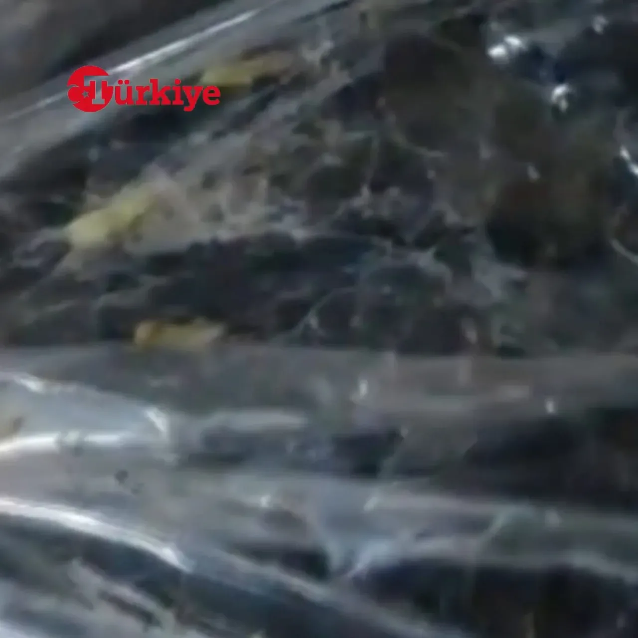 Van'da Skandal: 2 Ton Bozuk Gıda Ele Geçirildi Van'da Skandal: 2 Ton Bozuk Gıda Ele Geçirildi