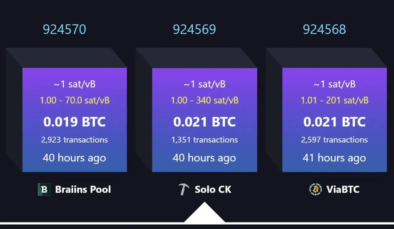 Bitcoin Madencisi Tek Başına 299 Bin Dolar Değerinde Blok Ödülü Kazandı Bitcoin Madencisi Tek Başına 299 Bin Dolar Değerinde Blok Ödülü Kazandı