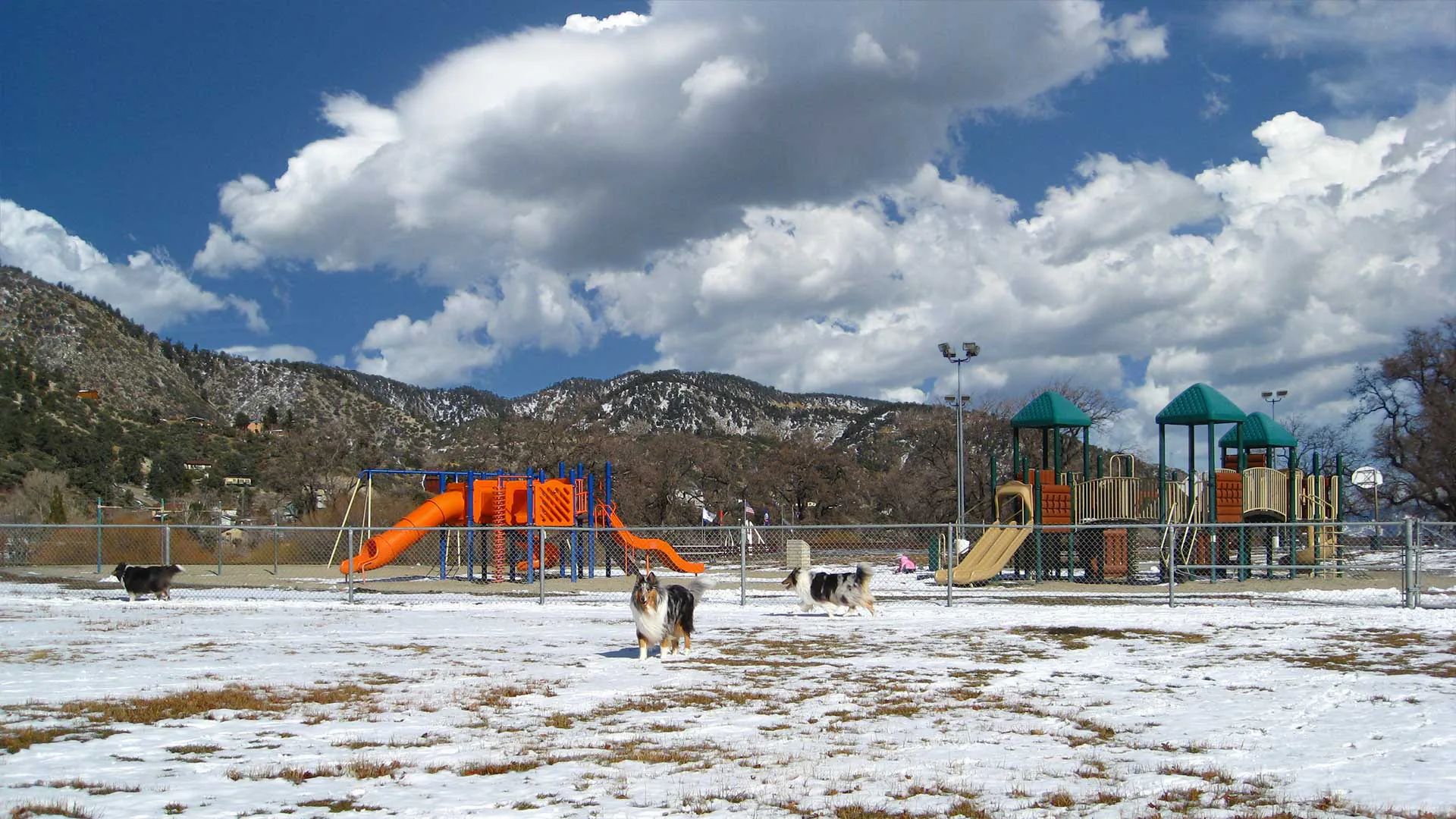 Los Angeles'ta Korkutan Sarsıntı: Frazier Park Merkezli Deprem Los Angeles'ta Korkutan Sarsıntı: Frazier Park Merkezli Deprem