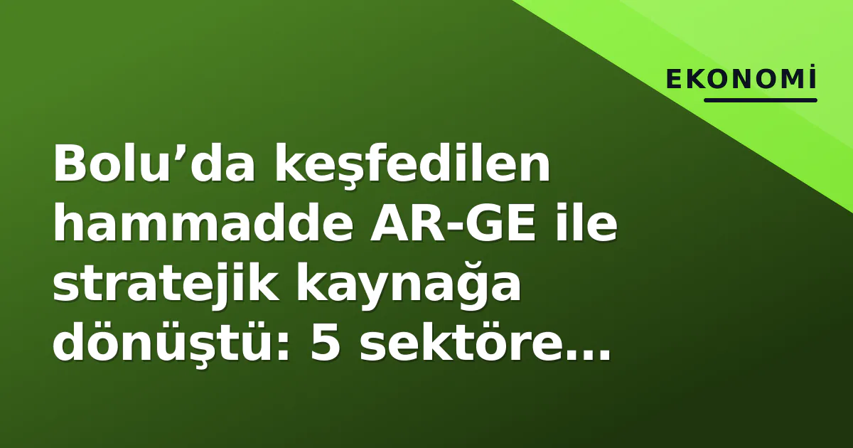 Bolu’da keşfedilen hammadde AR-GE ile stratejik kaynağa dönüştü: 5 sektöre kapı açıldı Bolu’da keşfedilen hammadde AR-GE ile stratejik kaynağa dönüştü: 5 sektöre kapı açıldı