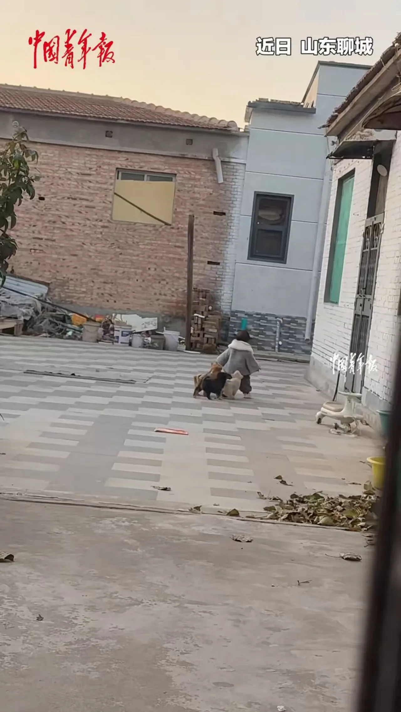 1 Yaşındaki Bebeğin Sevimli Köpek Koruma Ekibi Evdeki Anlarıyla Güldürüyor 1 Yaşındaki Bebeğin Sevimli Köpek Koruma Ekibi Evdeki Anlarıyla Güldürüyor