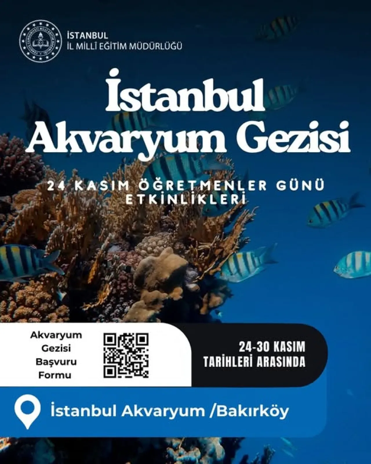 İstanbul'da Öğretmenlere Ücretsiz Akvaryum Gezisi Fırsatı İstanbul'da Öğretmenlere Ücretsiz Akvaryum Gezisi Fırsatı
