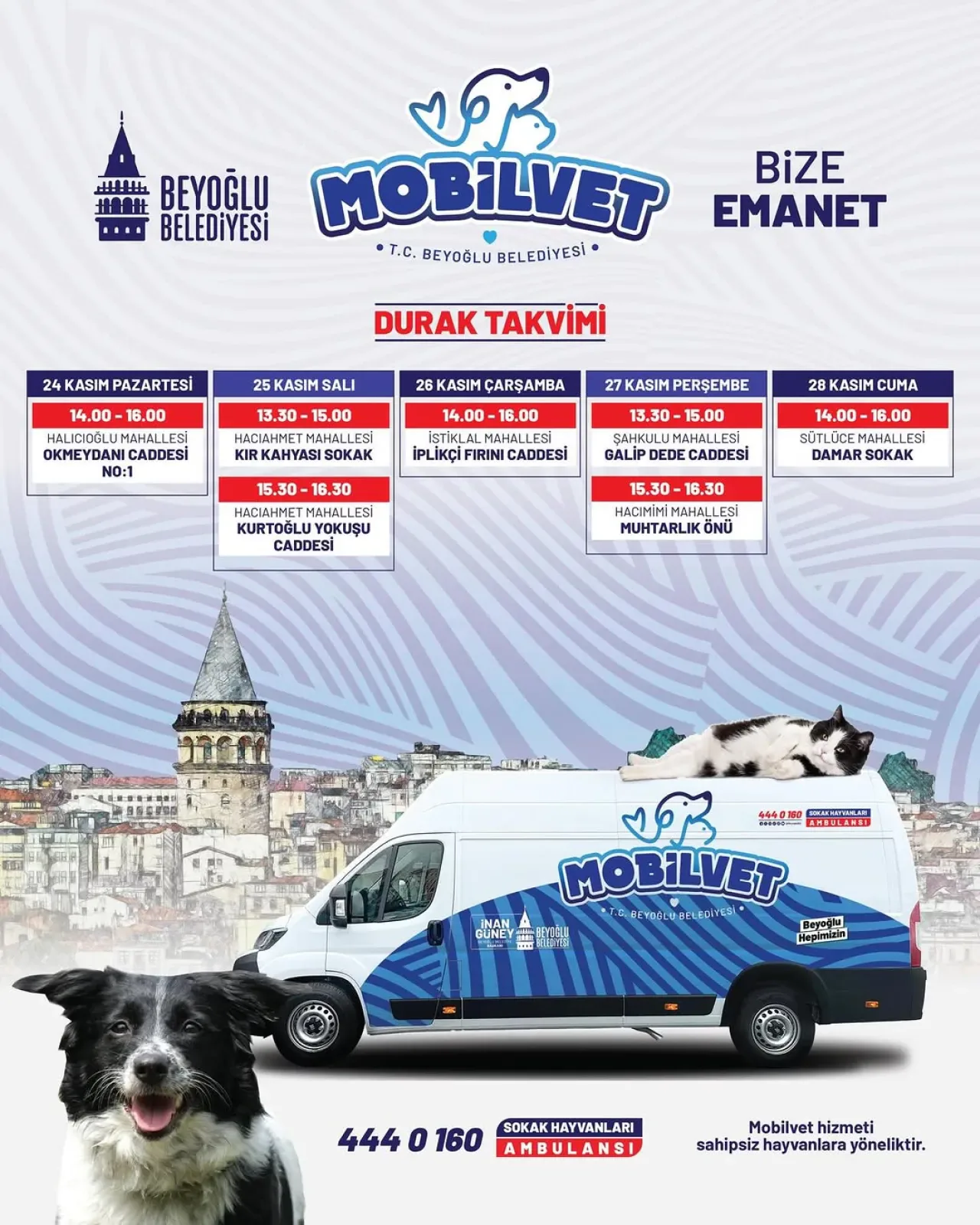 Beyoğlu Belediyesi Mobil Veteriner Aracı ile Sokak Hayvanlarının Yanında Beyoğlu Belediyesi Mobil Veteriner Aracı ile Sokak Hayvanlarının Yanında