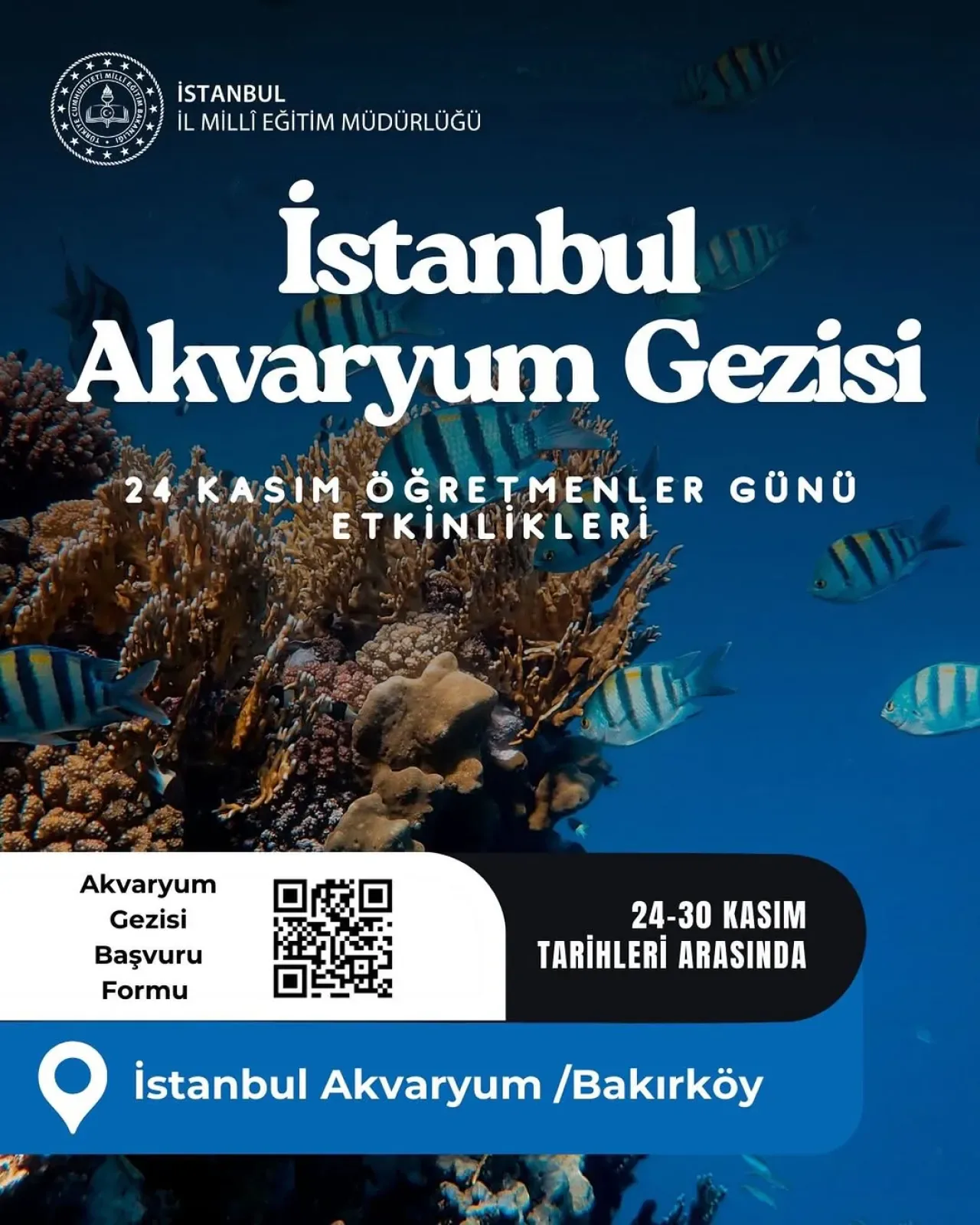 Kâğıthane'deki Öğretmenler ve Aileleri İçin Ücretsiz İstanbul Akvaryum Ziyareti Kâğıthane'deki Öğretmenler ve Aileleri İçin Ücretsiz İstanbul Akvaryum Ziyareti