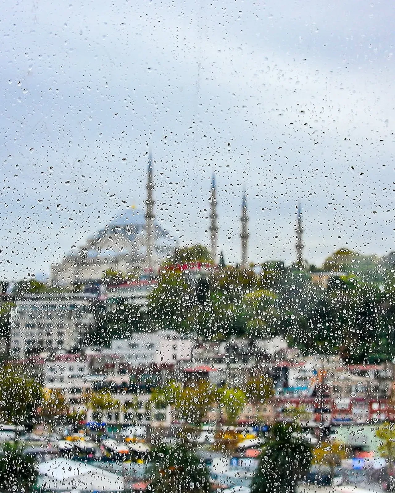 İstanbul Fatih Belediyesi'nden Süleymaniye Camii'ne Destek İstanbul Fatih Belediyesi'nden Süleymaniye Camii'ne Destek