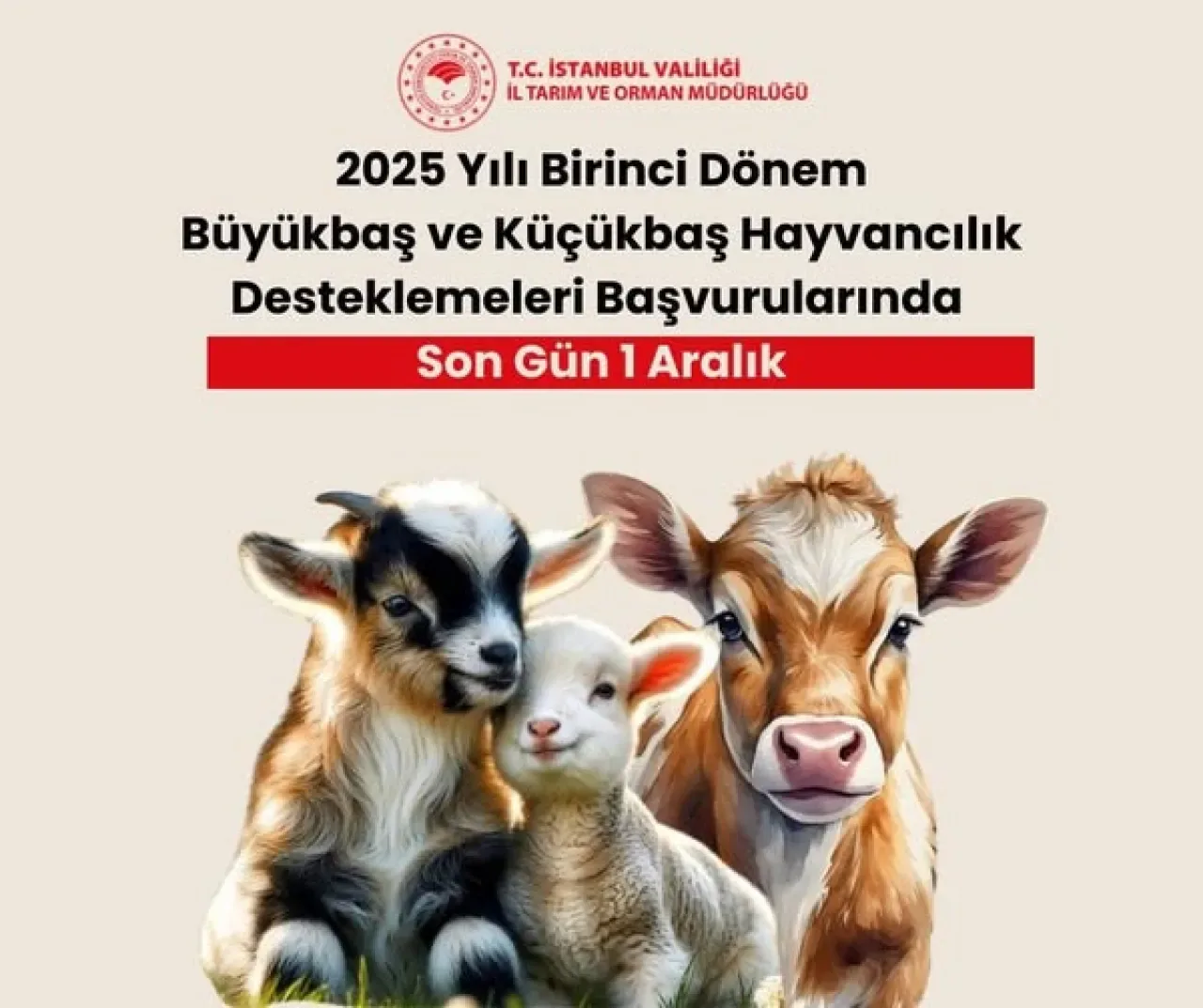 2025 Yılı İlk Dönem Hayvancılık Destek Başvuruları İçin Son Tarih 1 Aralık 2025 Yılı İlk Dönem Hayvancılık Destek Başvuruları İçin Son Tarih 1 Aralık
