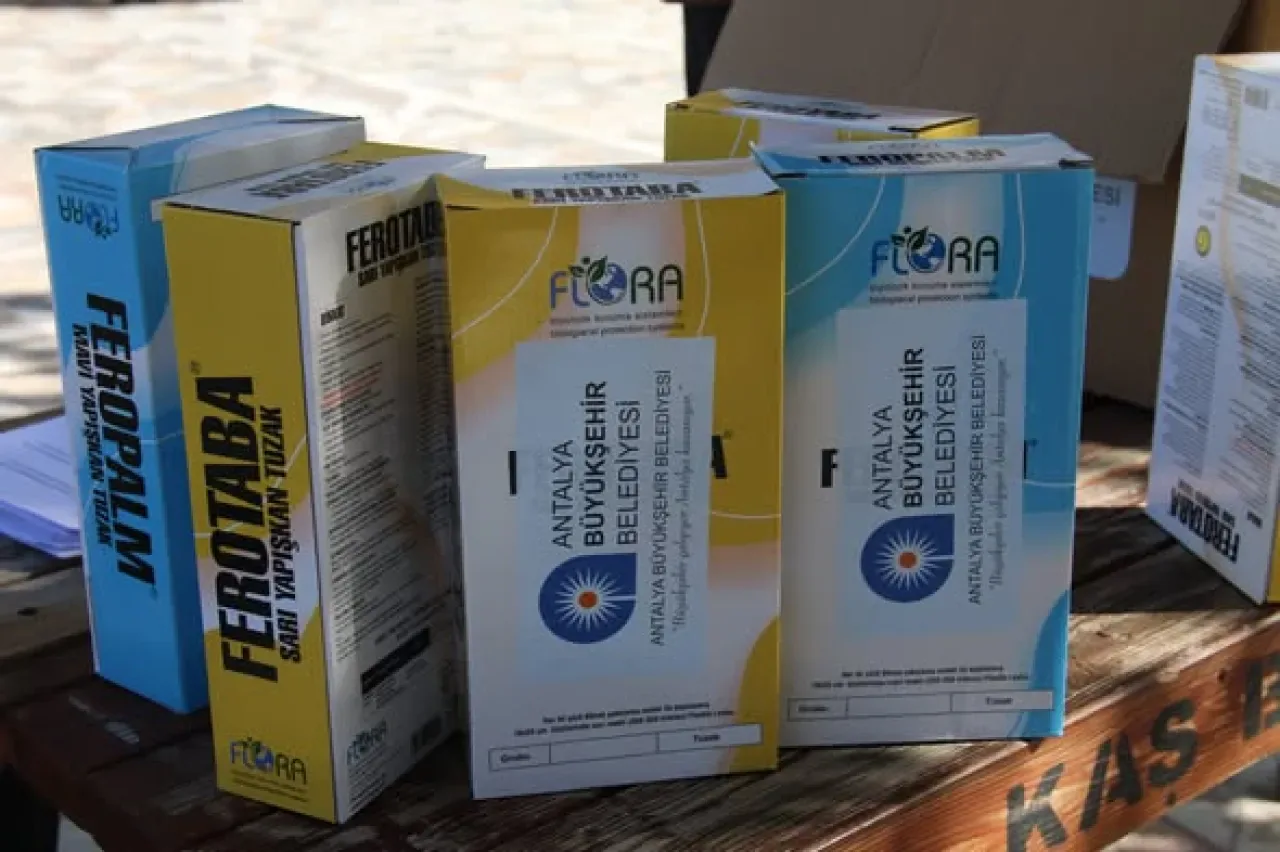 Antalya'da Çiftçilere Biyolojik Mücadele Desteği: 2400 Yapışkan Tuzak Dağıtıldı Antalya'da Çiftçilere Biyolojik Mücadele Desteği: 2400 Yapışkan Tuzak Dağıtıldı
