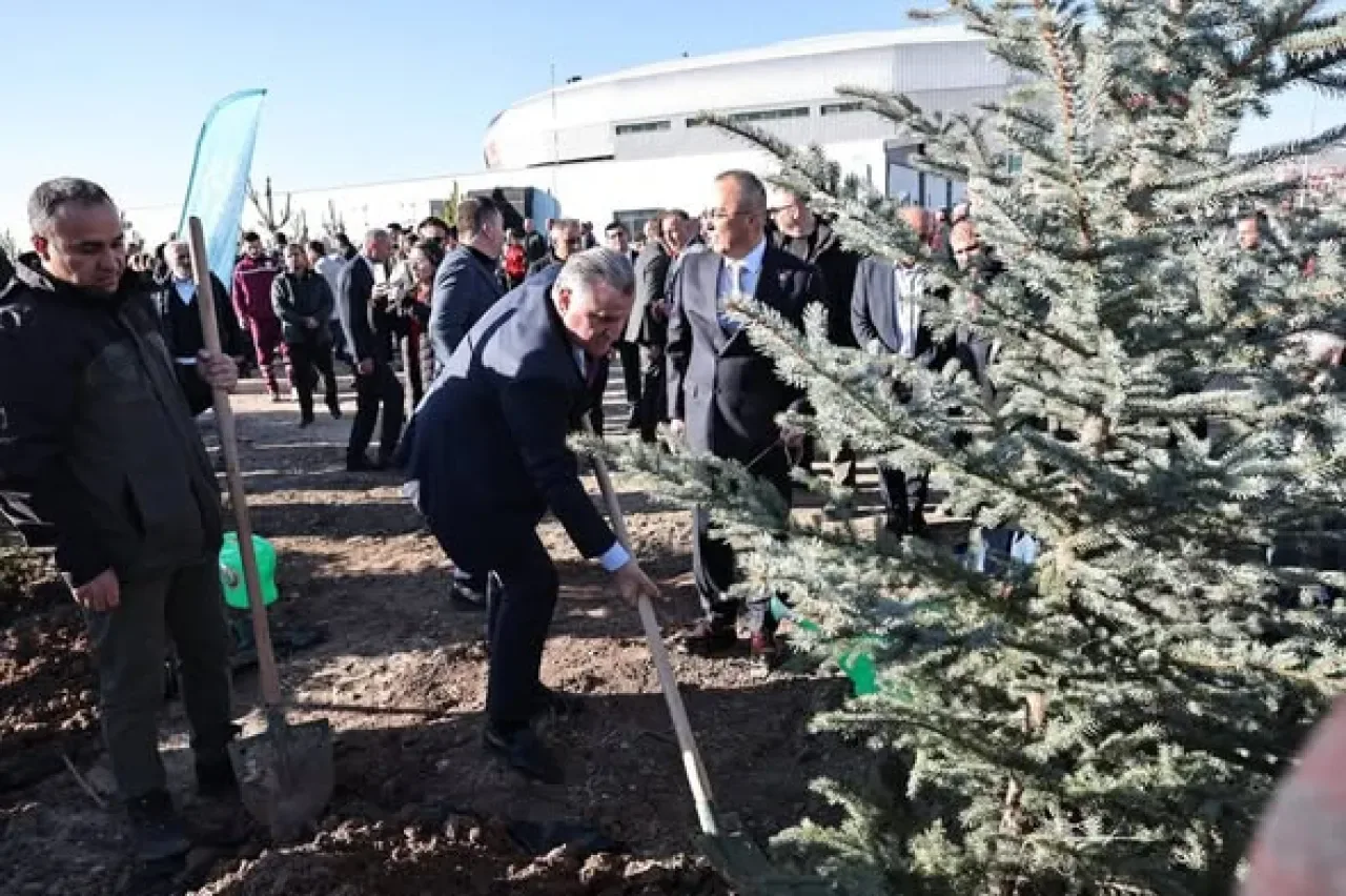 Sivas'ta Spor Vadisi'ne Gürültü Perdesi: Yol Boyunca Ağaçlandırma Çalışması Sivas'ta Spor Vadisi'ne Gürültü Perdesi: Yol Boyunca Ağaçlandırma Çalışması