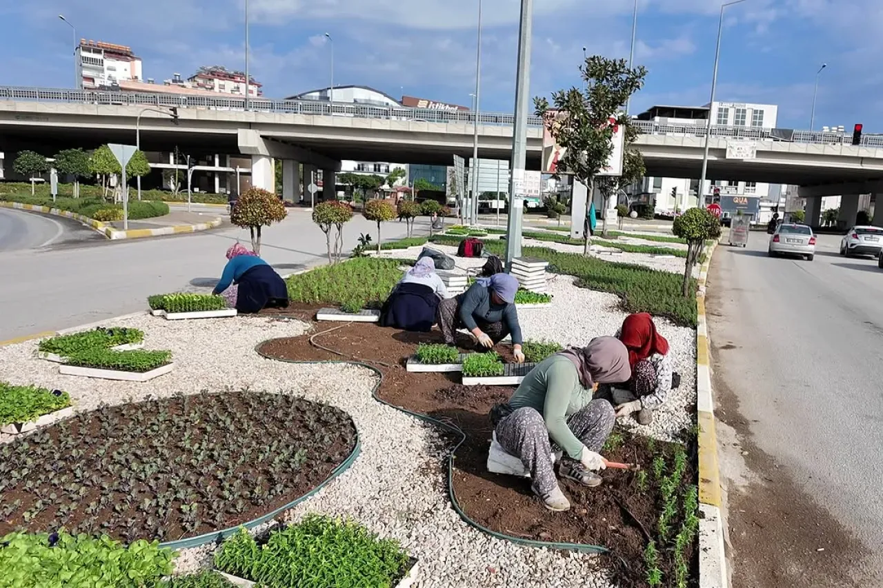 Serik'te Otogar Kavşağı-Belek Arasında Peyzaj Çalışmaları Hız Kazandı Serik'te Otogar Kavşağı-Belek Arasında Peyzaj Çalışmaları Hız Kazandı