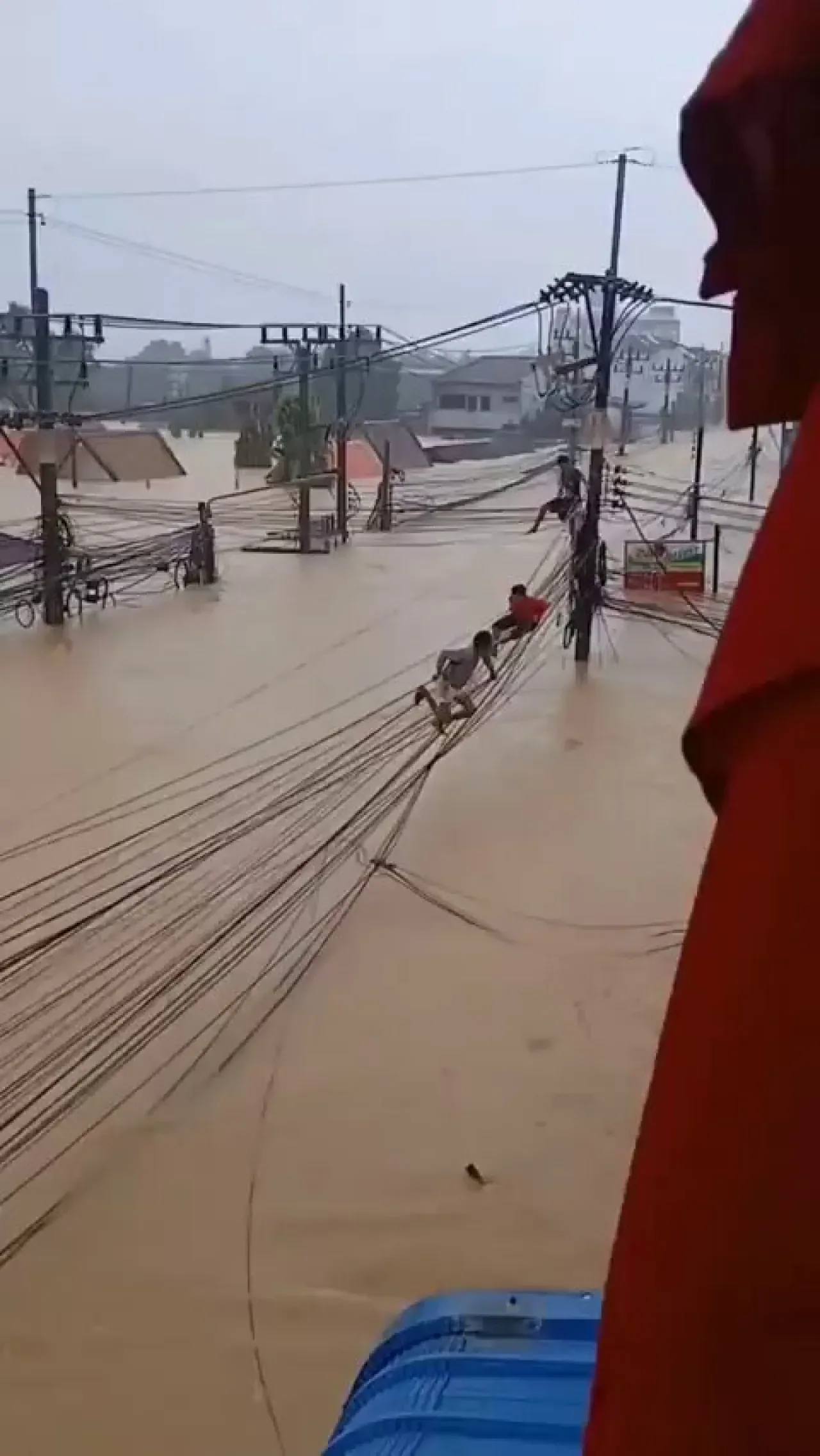 Tayland'da Sel Felaketi: Hat Yai Sular Altında, Can Kurtarmak İçin Tehlikeye Tırmananlar Tayland'da Sel Felaketi: Hat Yai Sular Altında, Can Kurtarmak İçin Tehlikeye Tırmananlar