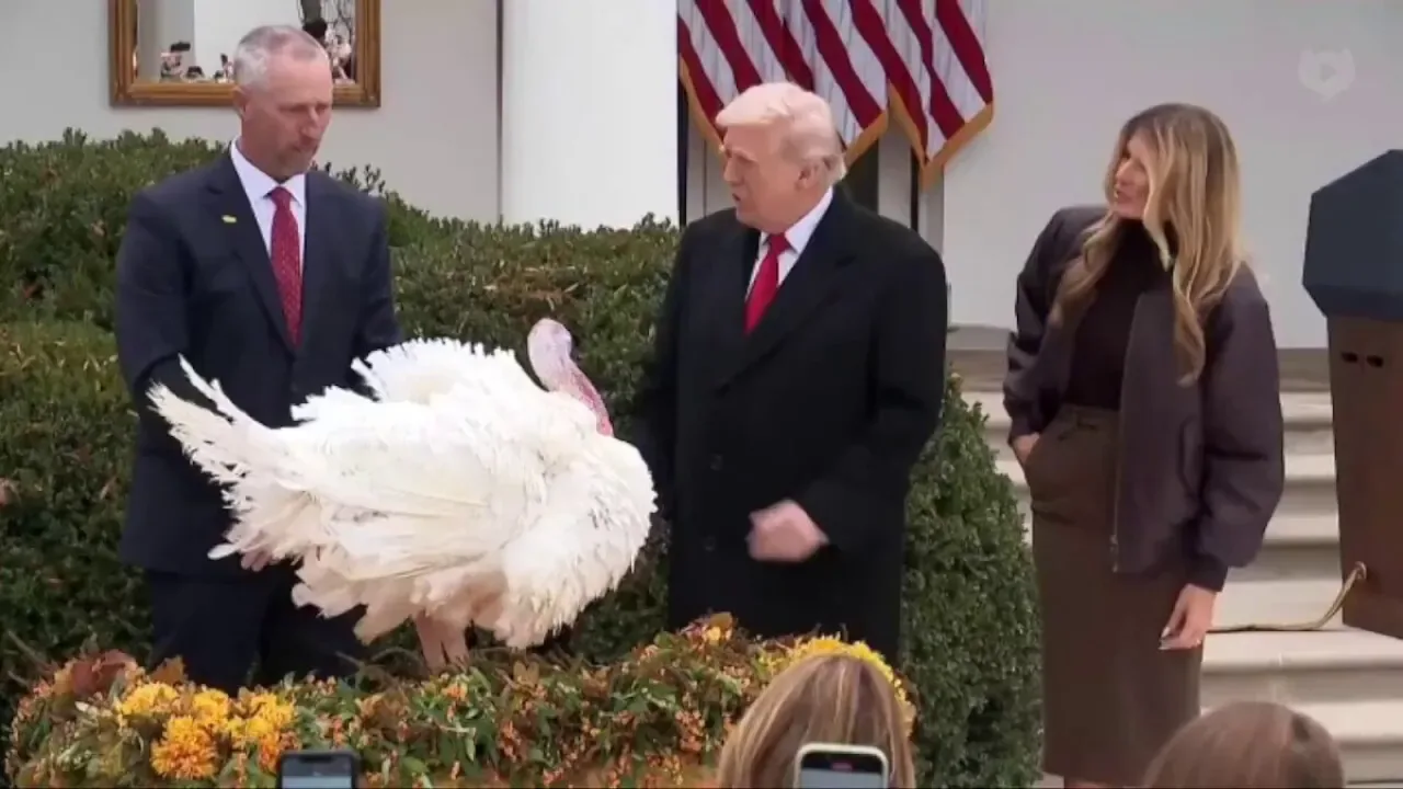 ABD Başkanı Trump, Şükran Günü Geleneği Gereği Beyaz Saray'da Hindi Affetti ABD Başkanı Trump, Şükran Günü Geleneği Gereği Beyaz Saray'da Hindi Affetti