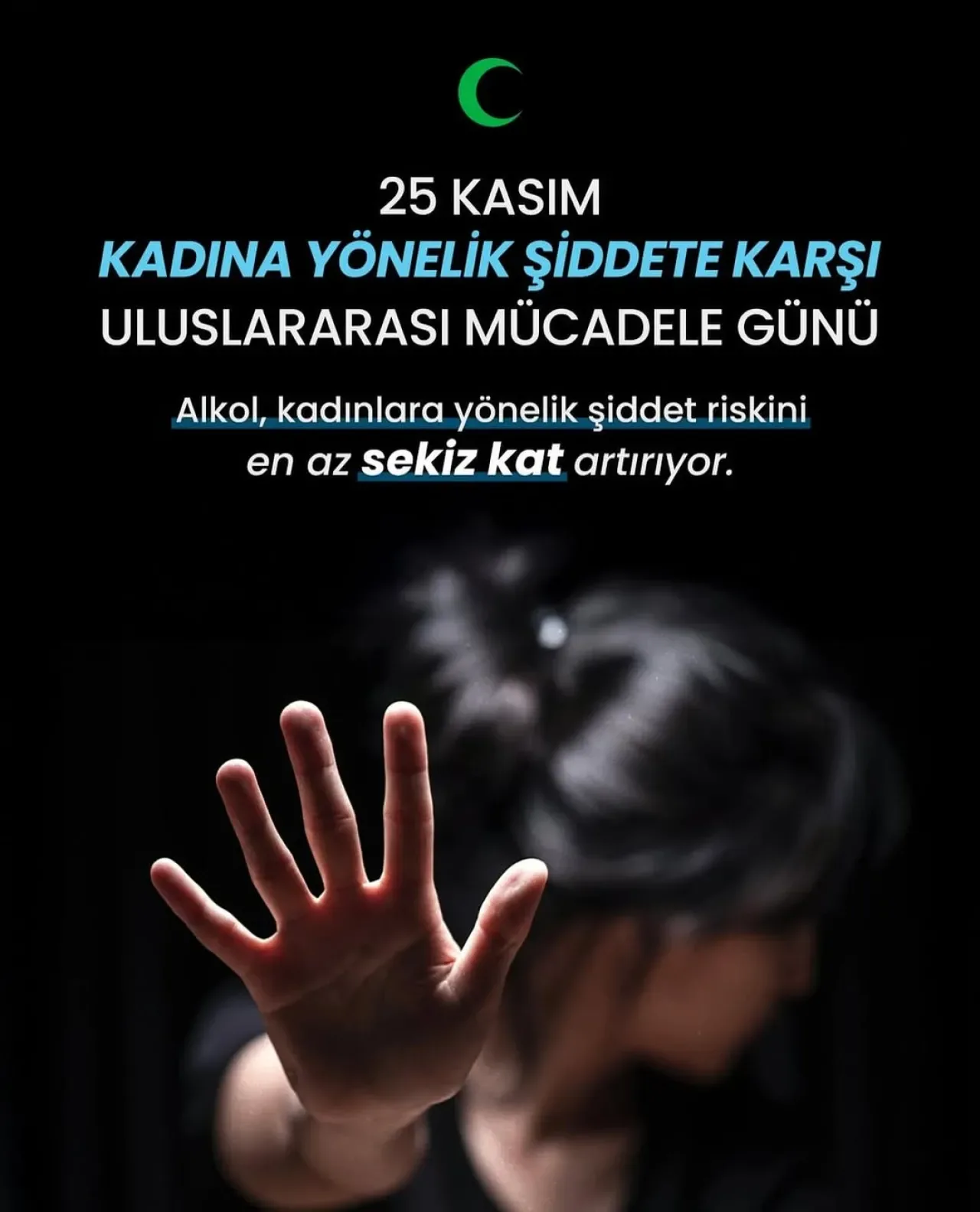 Alkol Bağımlılığının Kadına Şiddet Üzerindeki Etkisi Alkol Bağımlılığının Kadına Şiddet Üzerindeki Etkisi