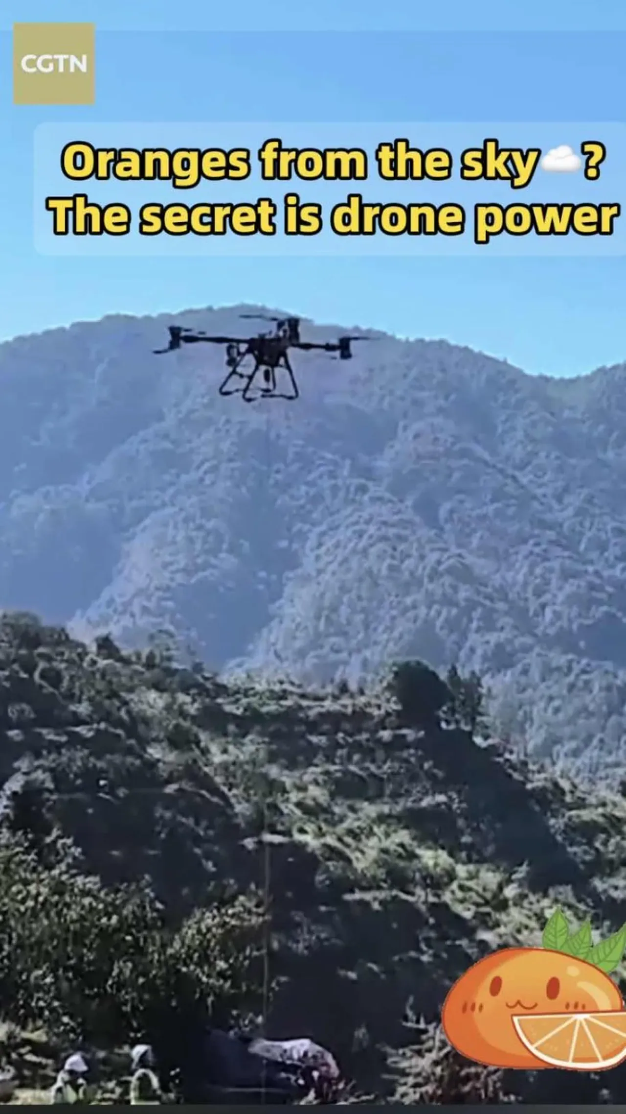 Çin'de Tarımda Devrim: Portakallar Artık Drone ile Taşınıyor Çin'de Tarımda Devrim: Portakallar Artık Drone ile Taşınıyor