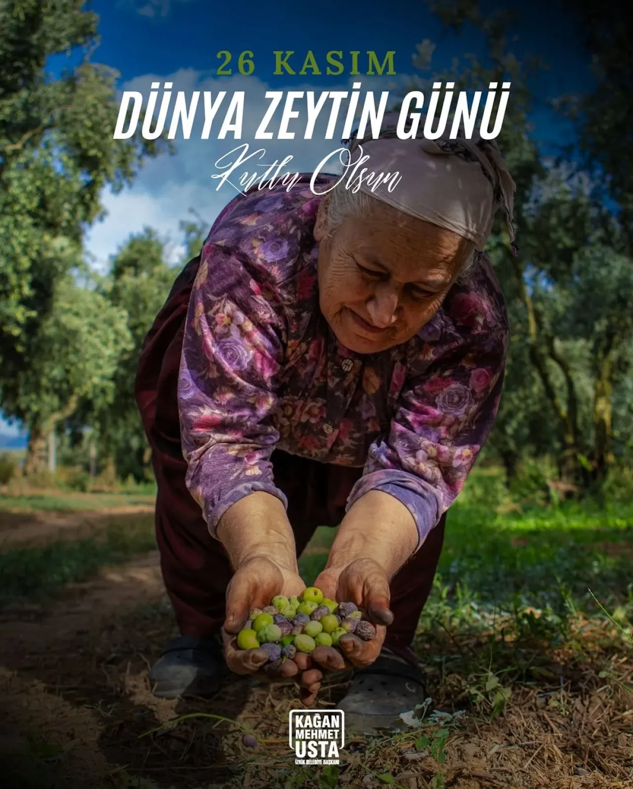 İznik'te Dünya Zeytin Günü Kutlaması: Bereket ve Barışın Simgesi İznik'te Dünya Zeytin Günü Kutlaması: Bereket ve Barışın Simgesi
