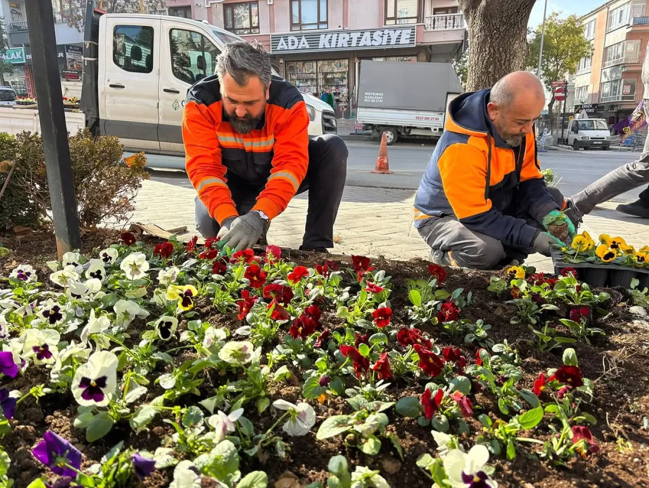 Çankaya'da Bahar Coşkusu: Parklar Renkli Çiçeklerle Donatılıyor Çankaya'da Bahar Coşkusu: Parklar Renkli Çiçeklerle Donatılıyor