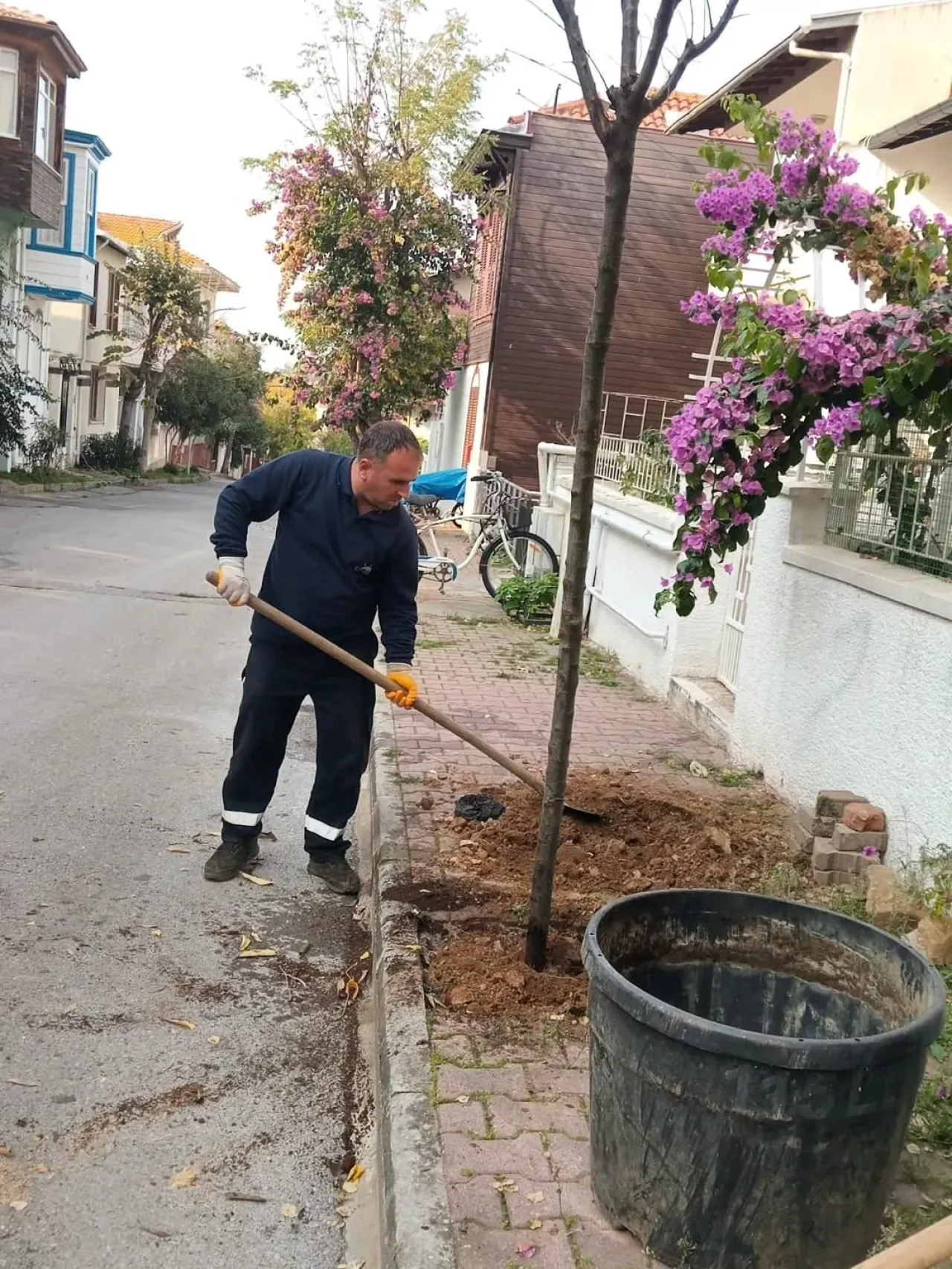 Adalar'da Yeşil Seferberliği: Büyükada'ya 60 Yeni Ağaç Adalar'da Yeşil Seferberliği: Büyükada'ya 60 Yeni Ağaç