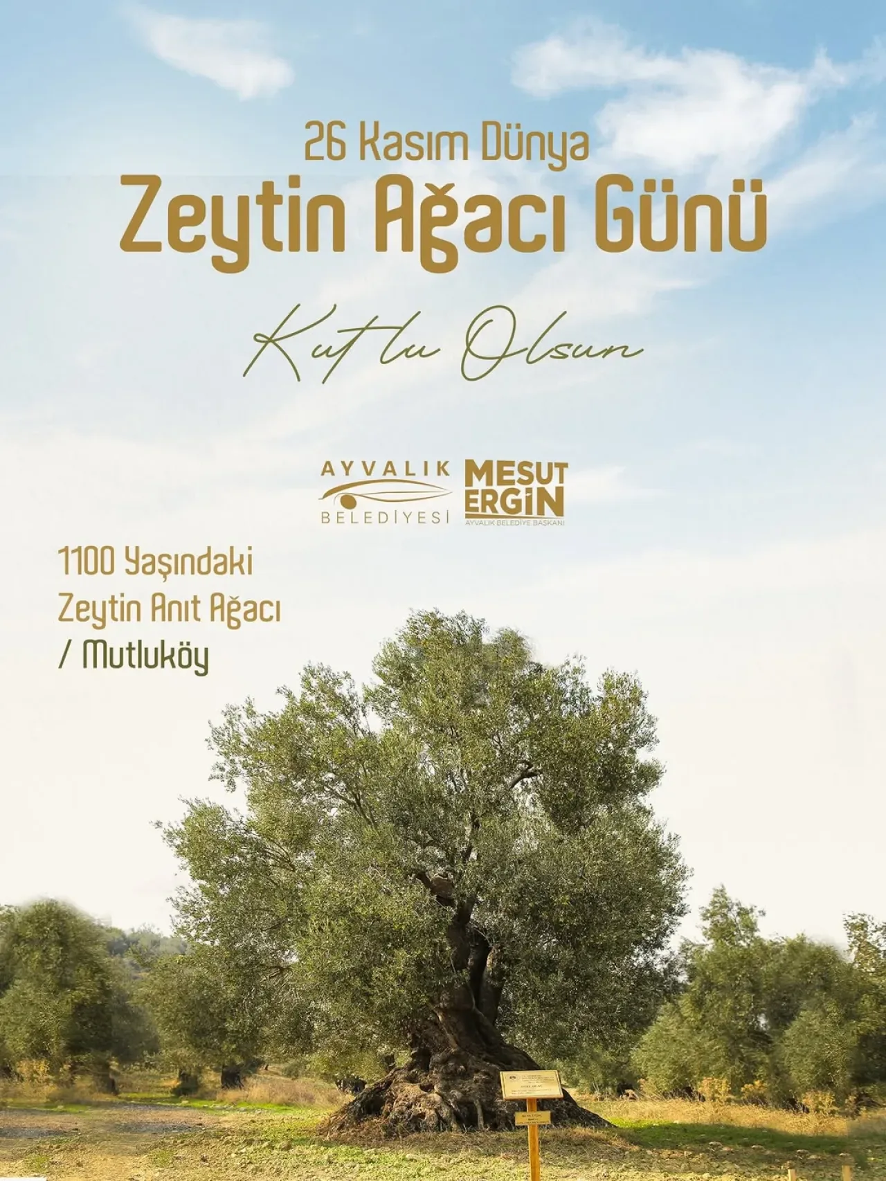 Ayvalık Belediyesi'nden Dünya Zeytin Ağacı Günü Mesajı: "Zeytin ve Zeytinyağı Demek Ayvalık Demektir" Ayvalık Belediyesi'nden Dünya Zeytin Ağacı Günü Mesajı: "Zeytin ve Zeytinyağı Demek Ayvalık Demektir"