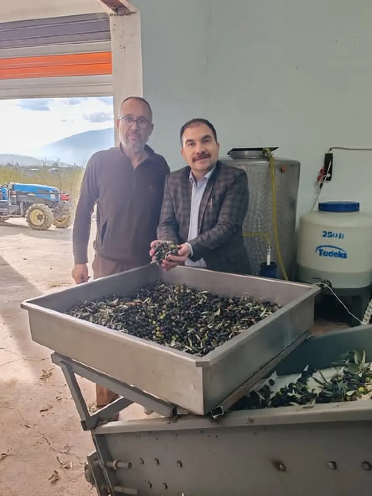 Kestel'de İlk Zeytin Boylama ve Eleme Ünitesi Kuruldu, Rekolte Bereketi Gözlemlendi Kestel'de İlk Zeytin Boylama ve Eleme Ünitesi Kuruldu, Rekolte Bereketi Gözlemlendi