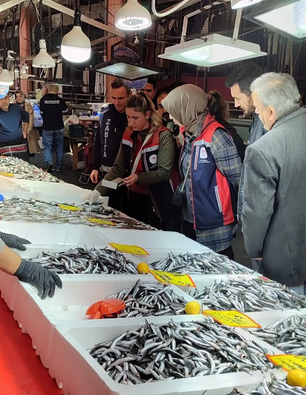 Bayrampaşa'da Balık Tezgahları Sıkı Denetimden Geçti Bayrampaşa'da Balık Tezgahları Sıkı Denetimden Geçti