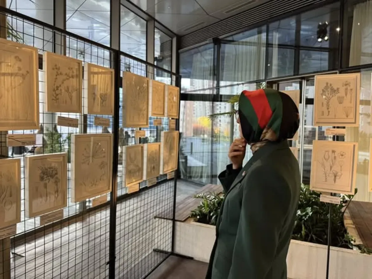 Ankara'da Resimli Türkiye Florası Sergisi Açıldı Ankara'da Resimli Türkiye Florası Sergisi Açıldı