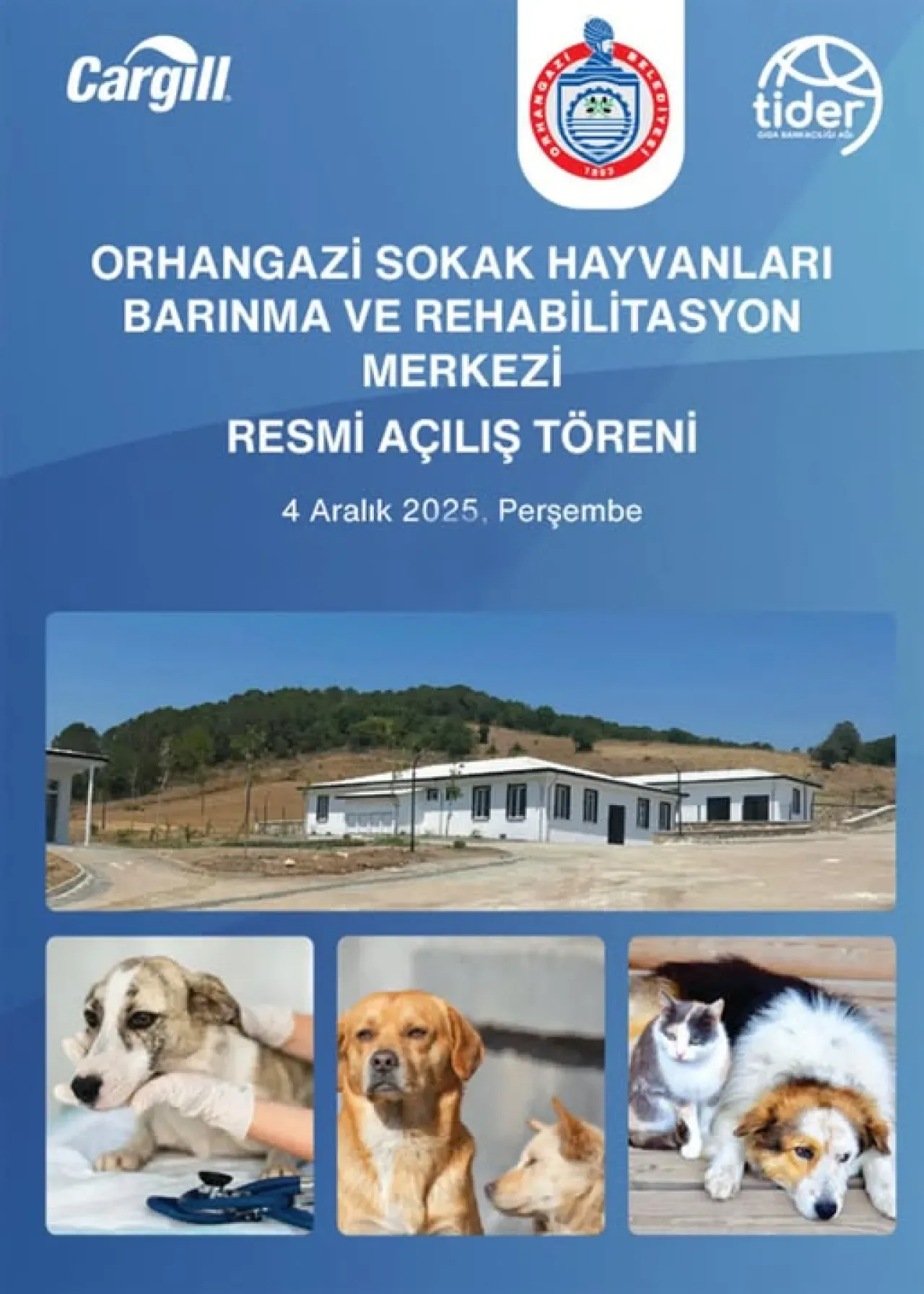 Orhangazi'de Sokak Hayvanları İçin Modern Barınak Açılıyor Orhangazi'de Sokak Hayvanları İçin Modern Barınak Açılıyor
